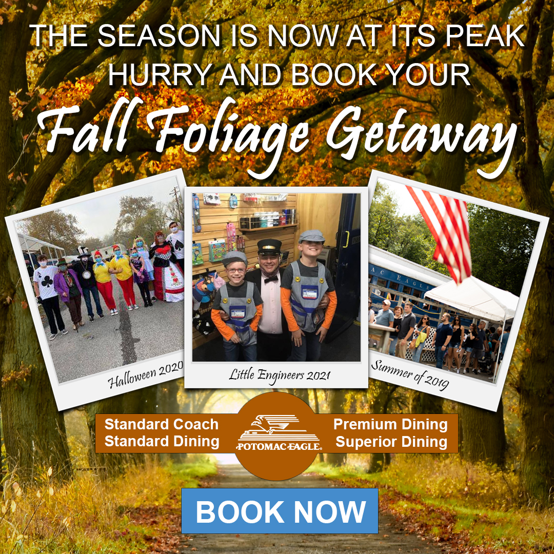 Fall Foliage Getaway Advertisement